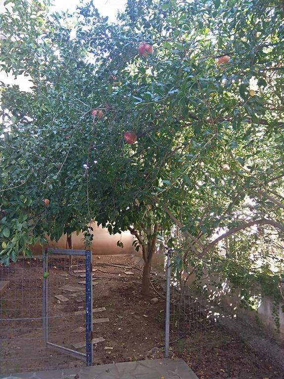 Rodi House Lejlighed Nafplio Eksteriør billede